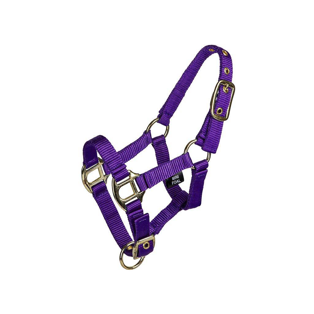 Gatsby 3/4" 2-ply Nylon Mini Halter with Adjustable Chin