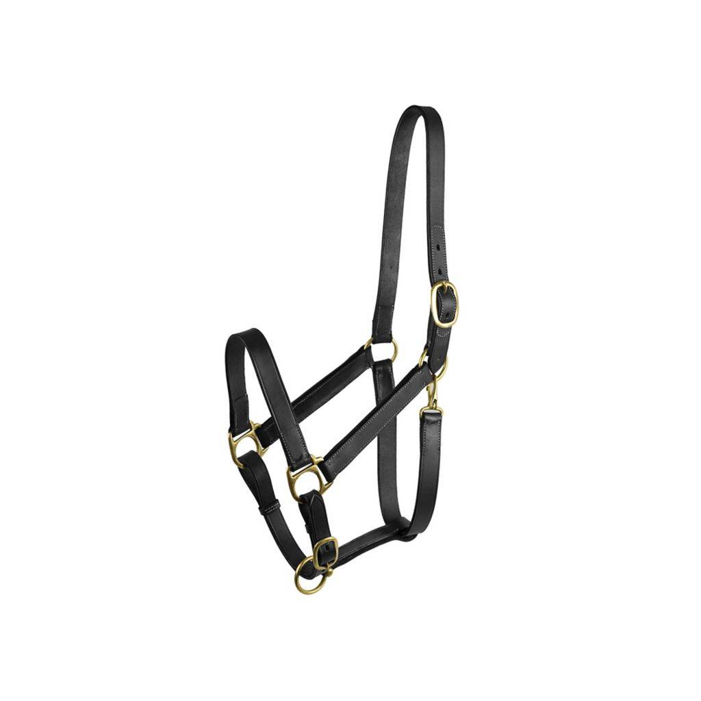 Gatsby Adjustable Turnout Halter with Snap