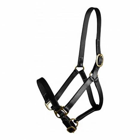 Gatsby Leather Adjustable Turnout Halter without Snap