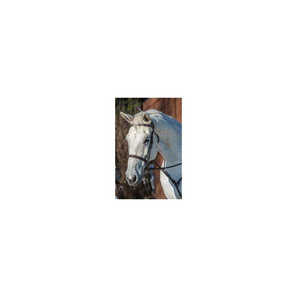 Nunn Finer Florence Bridle