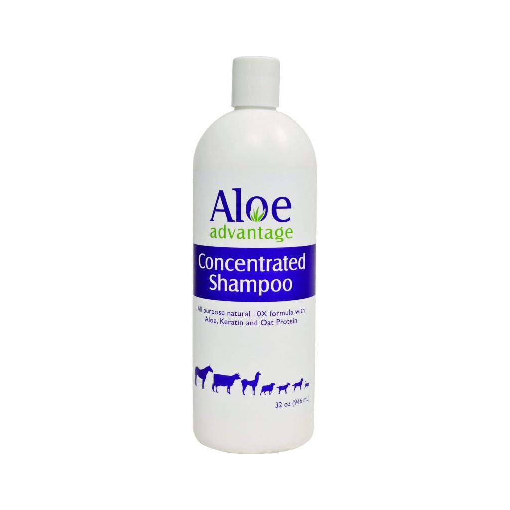 Aloe Advantage Concentrated Shampoo 10X