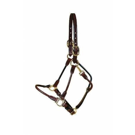 Tory Leather Arab Halter - Brass Hardware