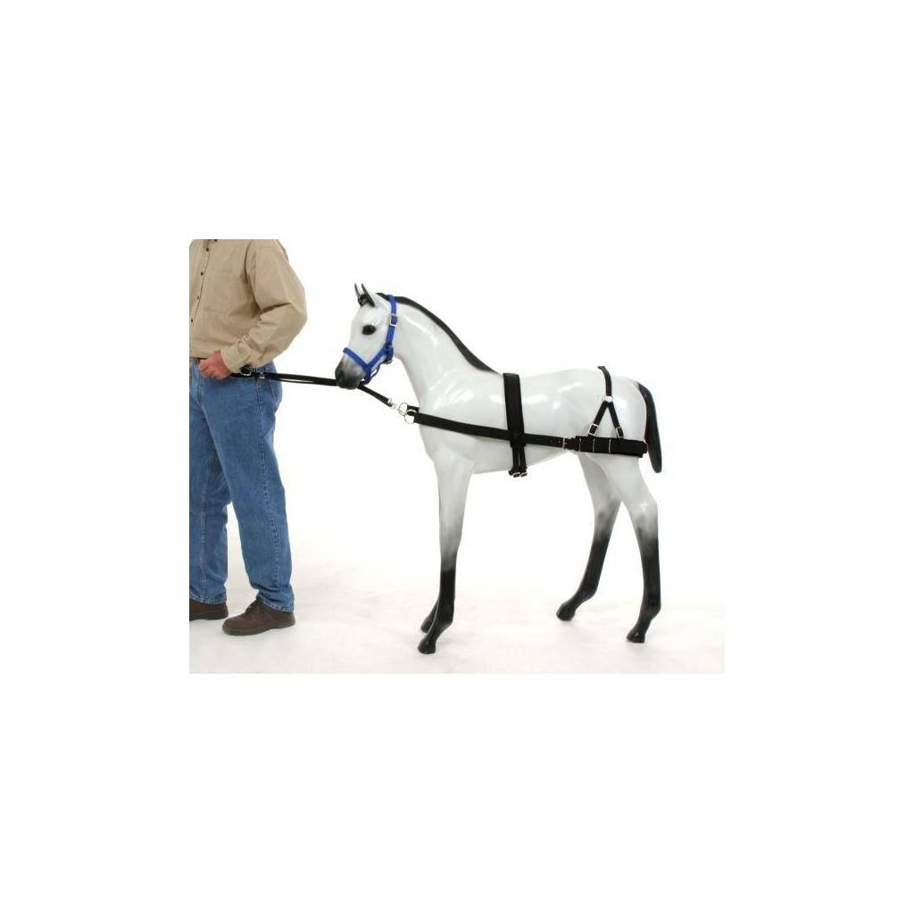 Tough-1 Foal Training Device