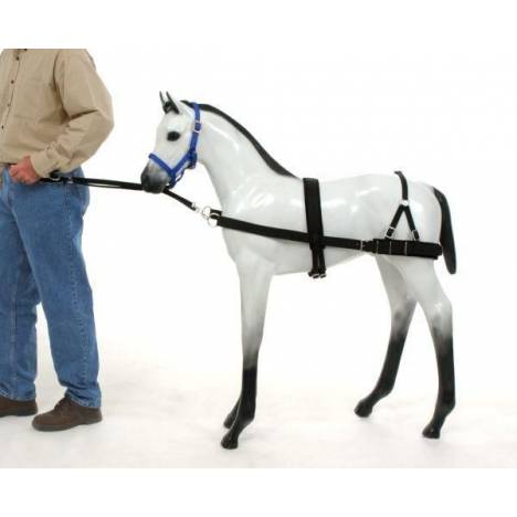 Tough-1 Foal Training Device