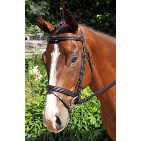 Nunn Finer Gifted Bridle