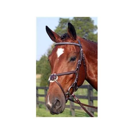 Nunn Finer Figure 8 Bridle