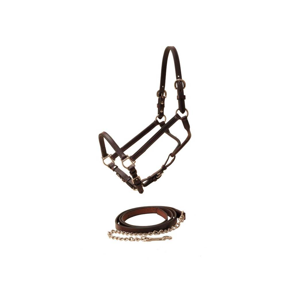 Tory Leather Show Halter & Chain Lead