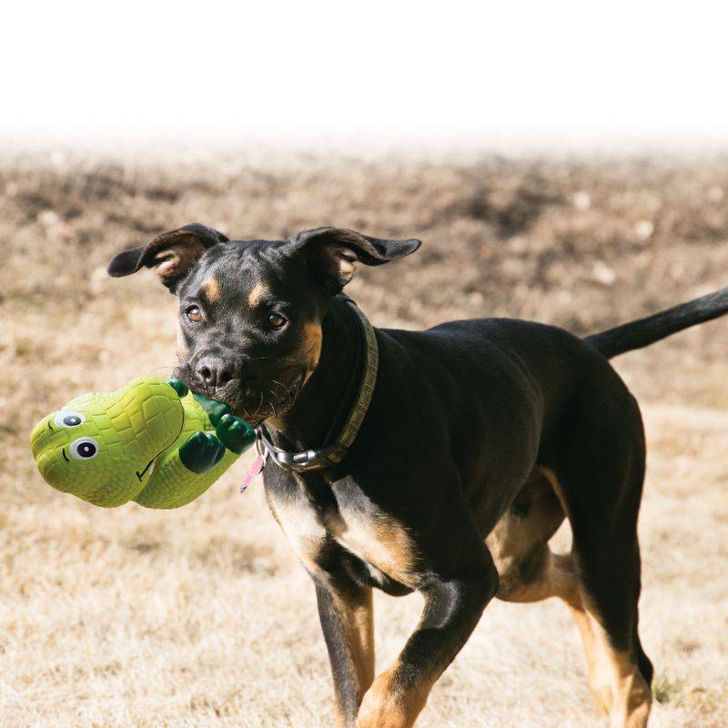 KONG Wiggi Alligator Dog Toy