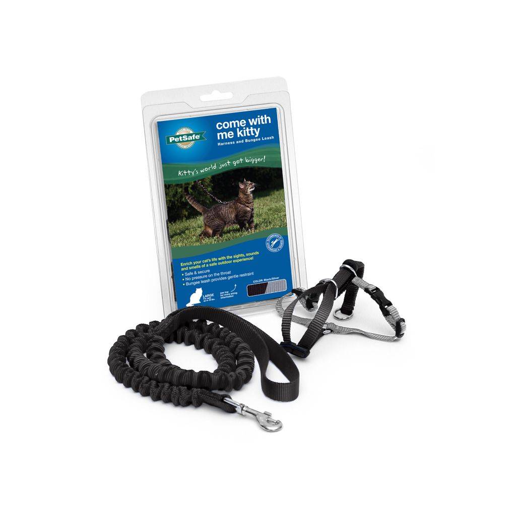 Petsafe Come With Me Kitty Harness & Bungee Leash