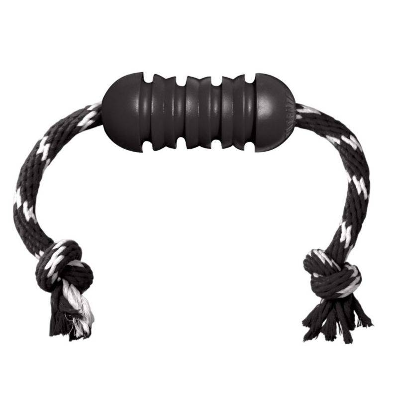 KONG Extreme Dental with Rope Dog Toy