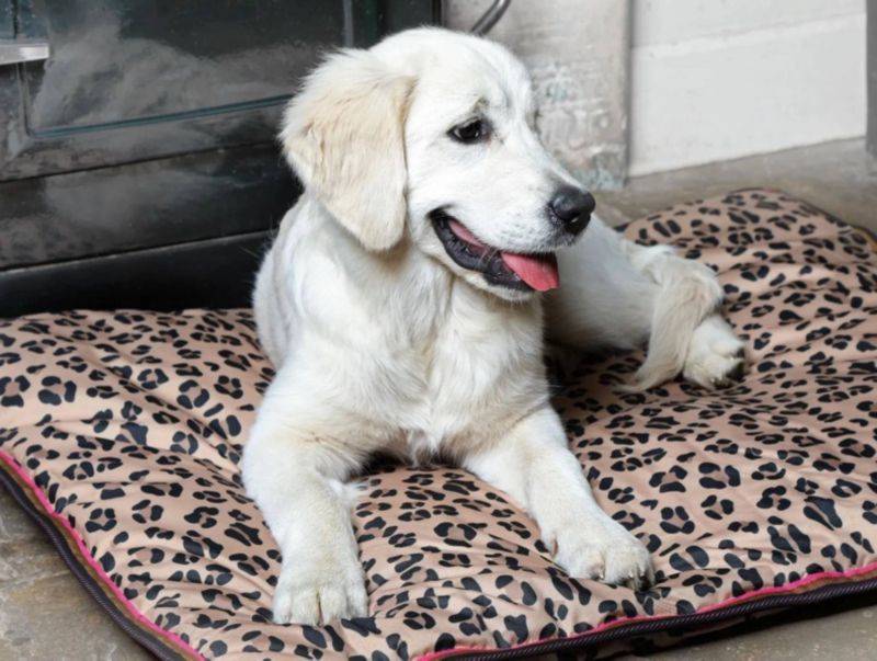 Shires Digby & Fox Waterproof Dog Bed - Leopard - 20" x 30"