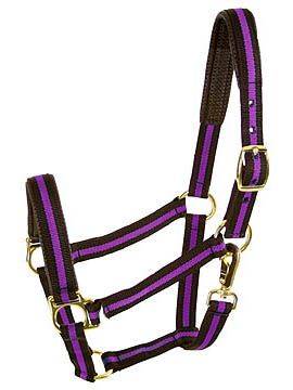 Comfort Padded Halter with Snap