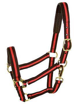 Comfort Padded Halter with Snap