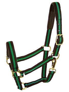 Comfort Padded Halter with Snap