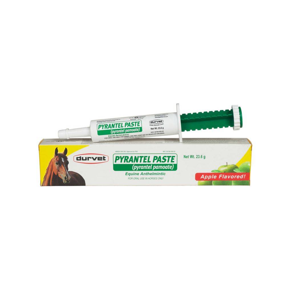 Durvet Pyrantel Paste Dewormer - 1200 lbs