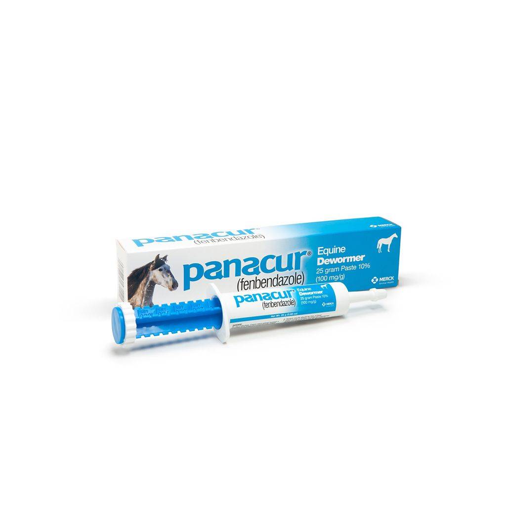 Panacur Paste Equine Dewormer