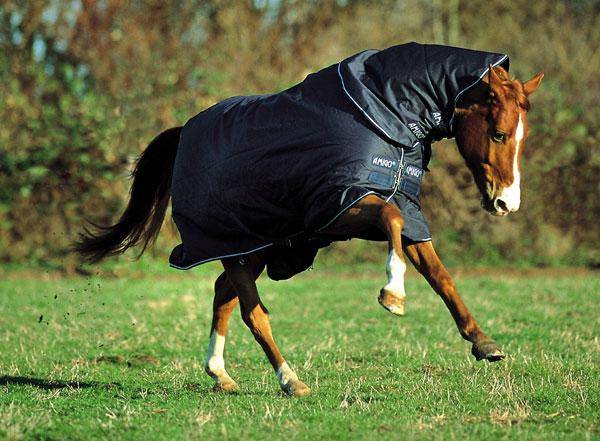 Amigo by Horseware Heavyweight Turnout Horse Blanket