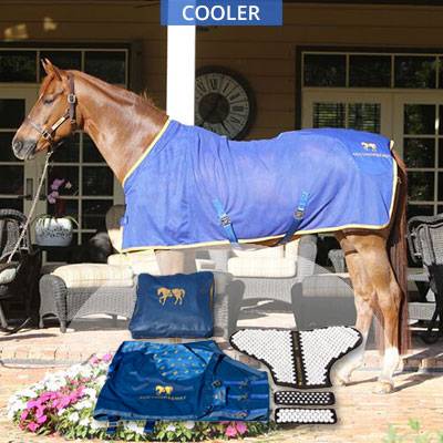 Acuswede Accuhorsemat Cooler Kit