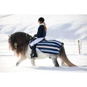 Rambo by Horseware Newmarket Competition Sheet