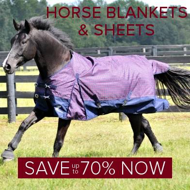 friday cyber monday equestriancollections horse account tack