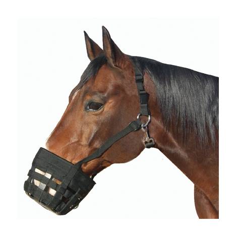 Best Friend Deluxe Grazing Muzzle