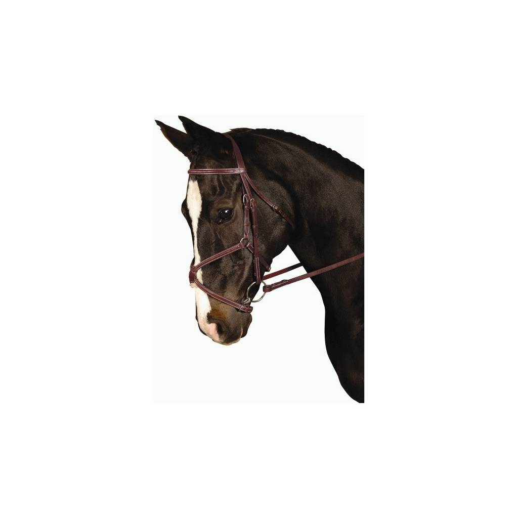 Kincade Padded Figure 8 Bridle