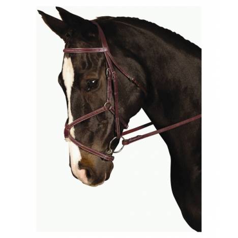 Kincade Padded Figure 8 Bridle