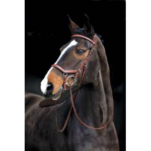 Rambo Micklem Comp Bridle with Reins