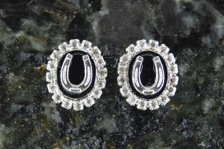 Finishing Touch Black Onyx Stone In Crystal Frame with  Horseshoe Earrings