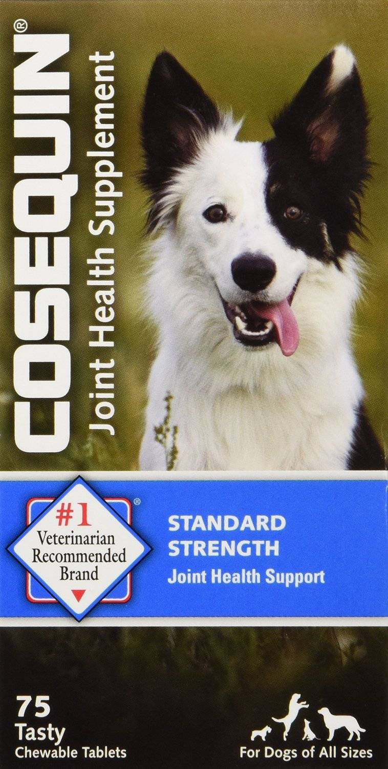 Nutramax Cosequin Standard Strength Joint Health Supplement for Dogs, With Glucosamine and MSM