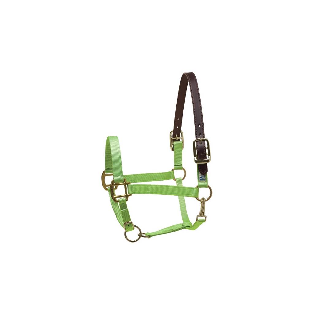 Perri's Premium Nylon Safety Halter