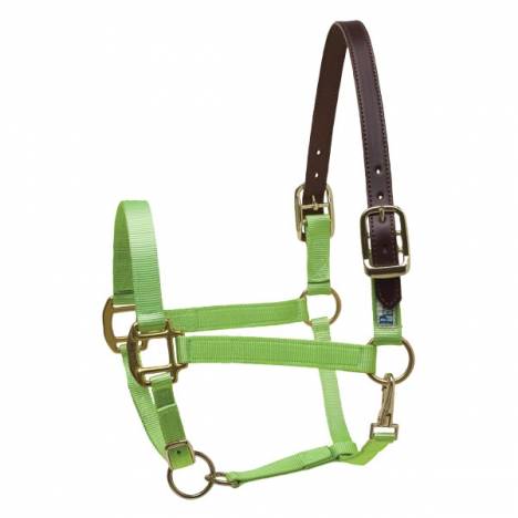 Perri's Premium Nylon Safety Halter