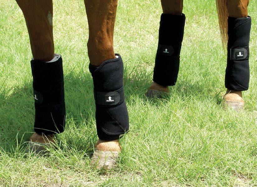 Classic Equine Stress Guard Leg Wraps