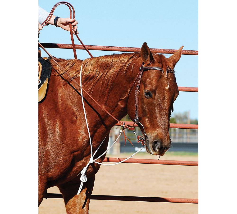 Martin Saddlery String Martingale EquestrianCollections