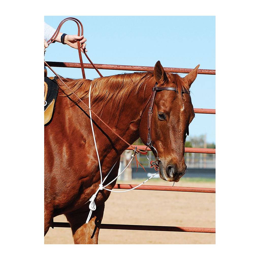 Martin Saddlery String Martingale