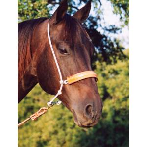 Martin Saddlery Double Rope/Leather Cover Headset Tiedown