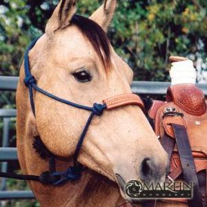 Martin Saddlery Rope Halter with Tooled Leather