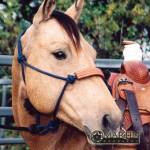 Martin Saddlery Horse Equipment