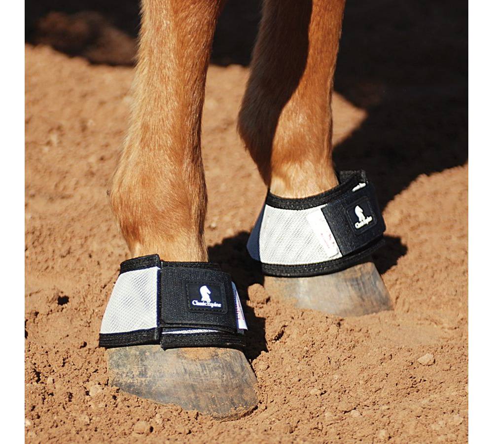 Classic Equine MagNTX Bell Boot EquestrianCollections