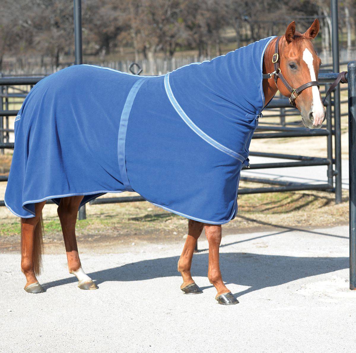 Classic Equine Eco Polar Fleece Cooler