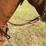 Martin Saddlery English Horse Tack