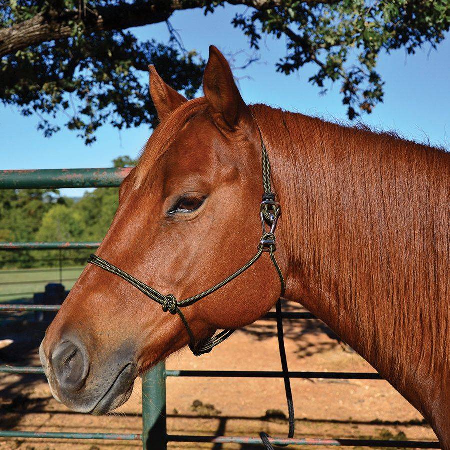 Martin Rope Halter - Adjustable Buckle