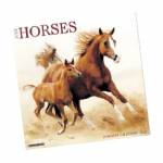 Equestrian Calendars
