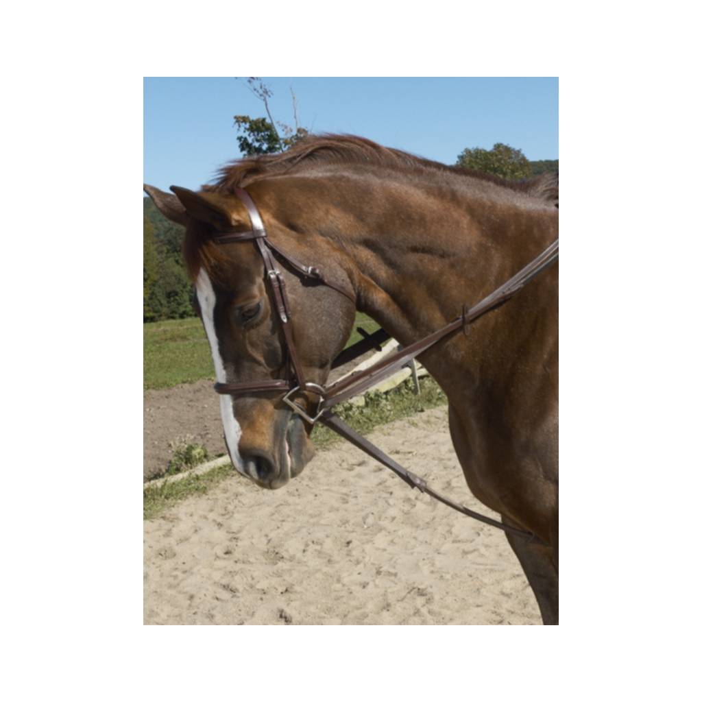 Ovation Stretch Cord Draw Reins