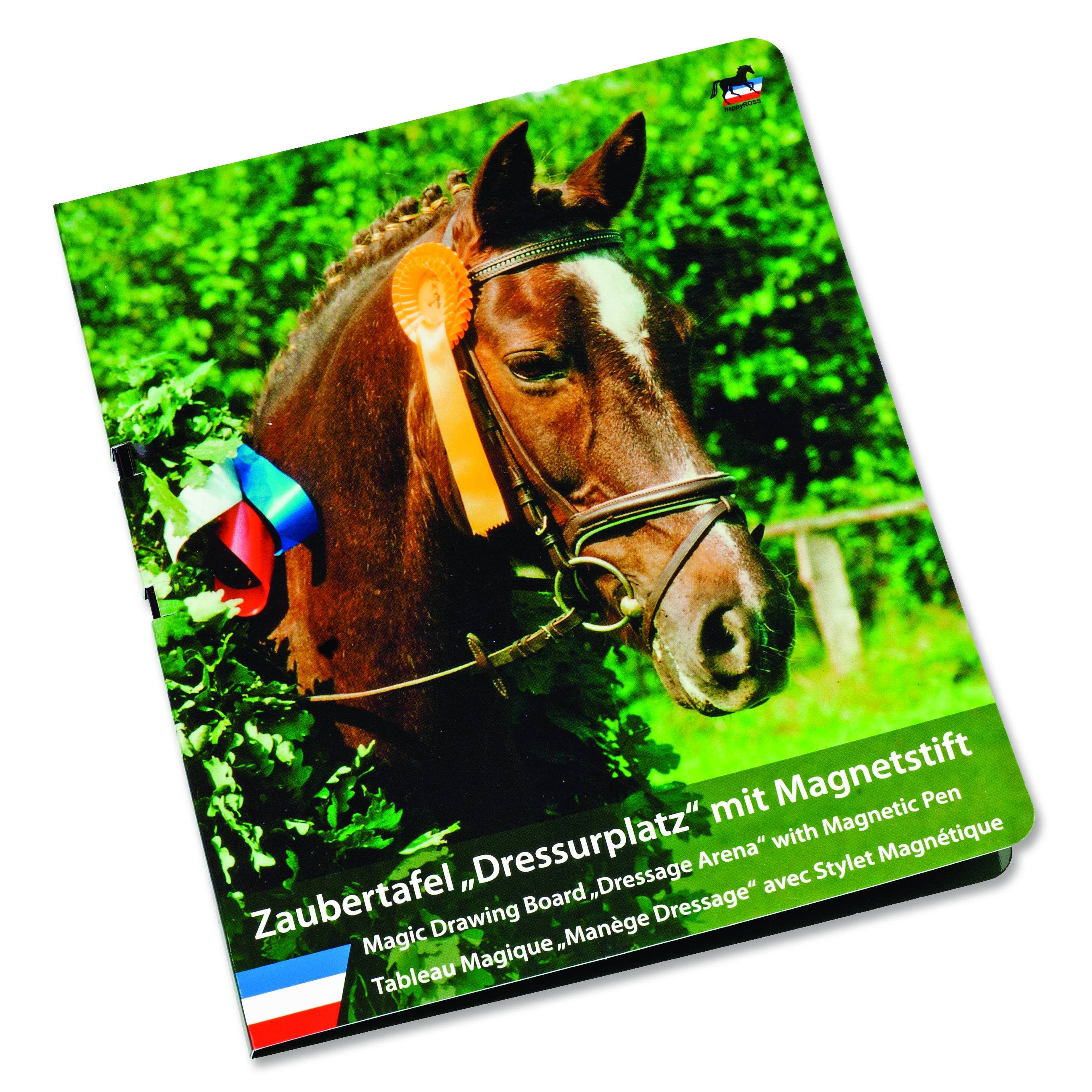 Kelley Magic Drawing Dressage Arena Board