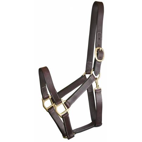 Gatsby Track Style Turnout Halter with Snap