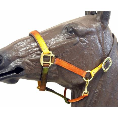 Horse Fare Earth Tone Nylon Breakaway Halter