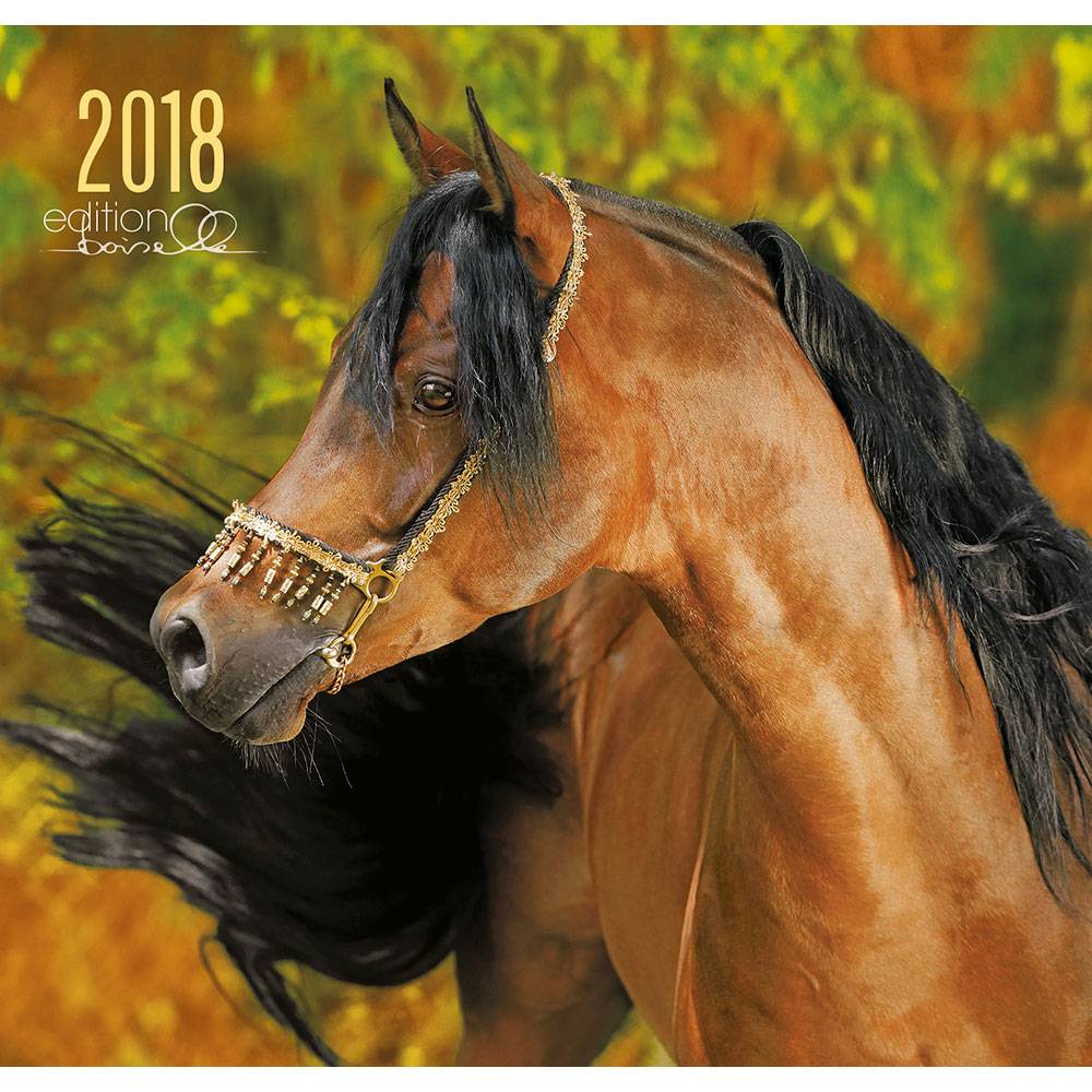 5-939133 Gabriele Boiselle Art Calendar Boiselle Fascinatio sku 5-939133