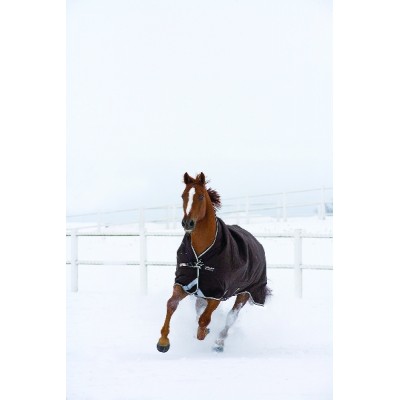 rambo wug turnout blanket heavy weight horse turnout blanket size chart