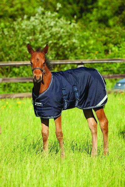 Amigo by Horseware Midweight Foal Turnout Blanket